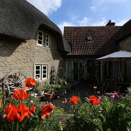 Thatch Cottage 라콕 외부 사진