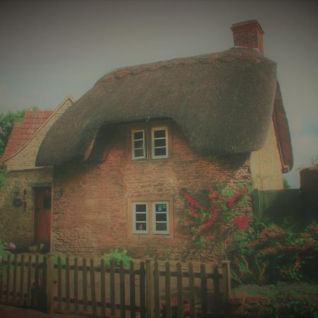 Thatch Cottage 라콕 외부 사진