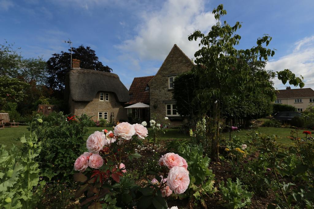 Thatch Cottage 라콕 외부 사진