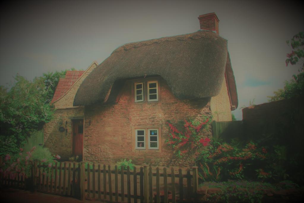 Thatch Cottage 라콕 외부 사진